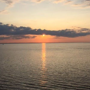 Meet your Posher, Dawn